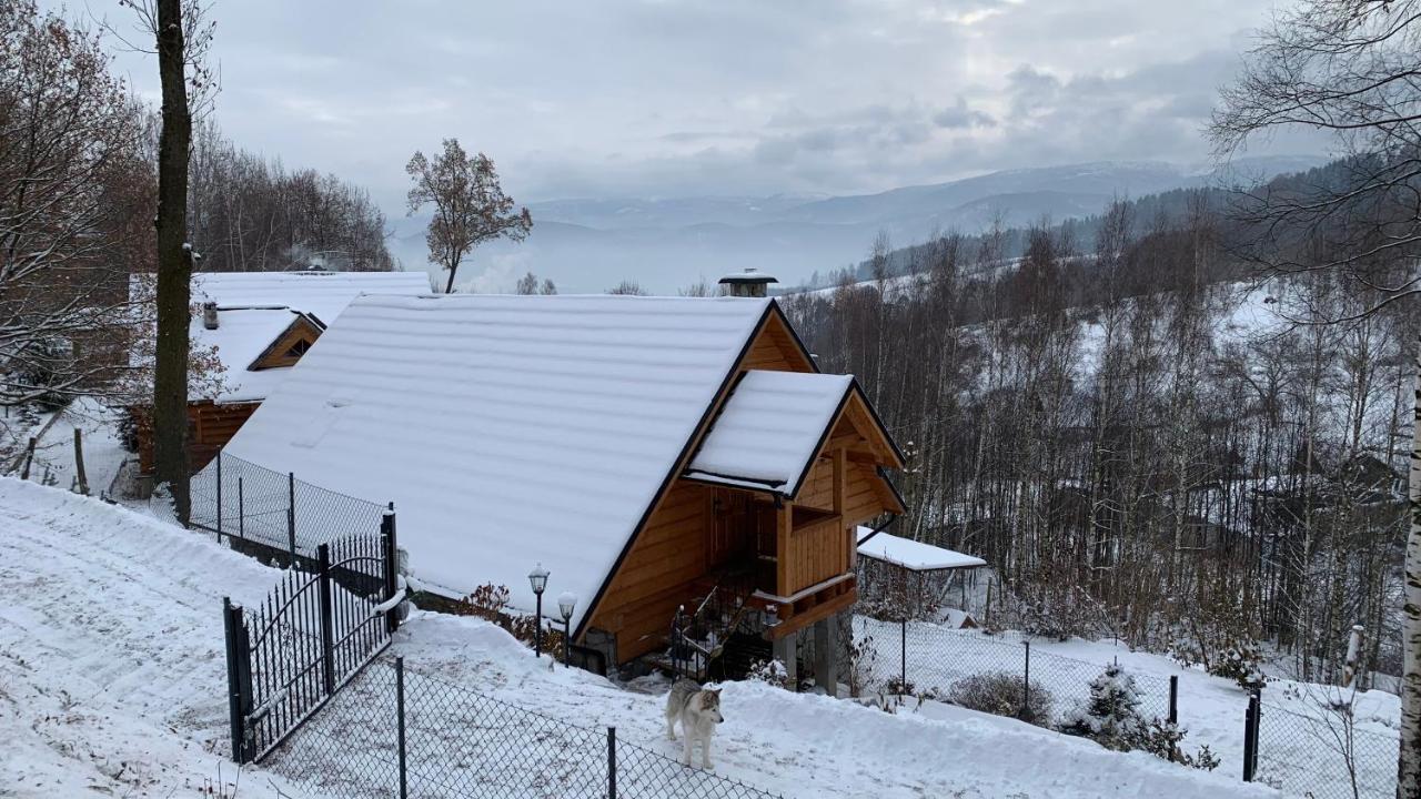Apartmán Hakerowka *